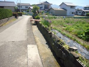売地